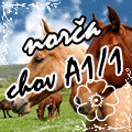moj prvý tretí avatar